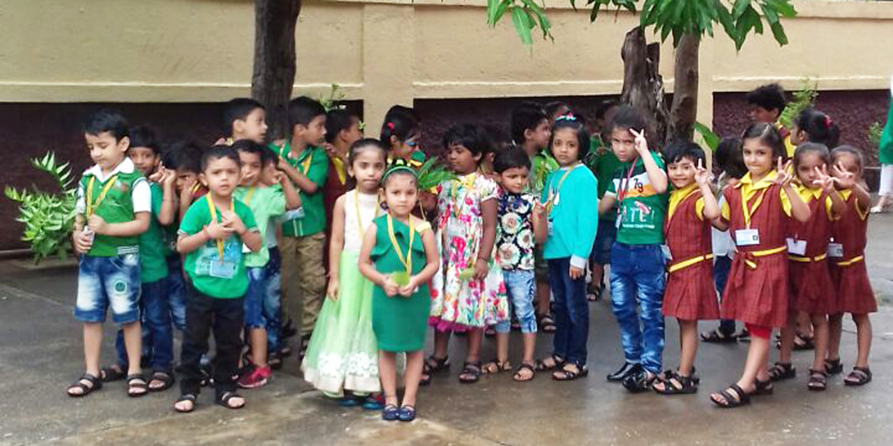 GARDEN AT SCHOOL ACTIVITY